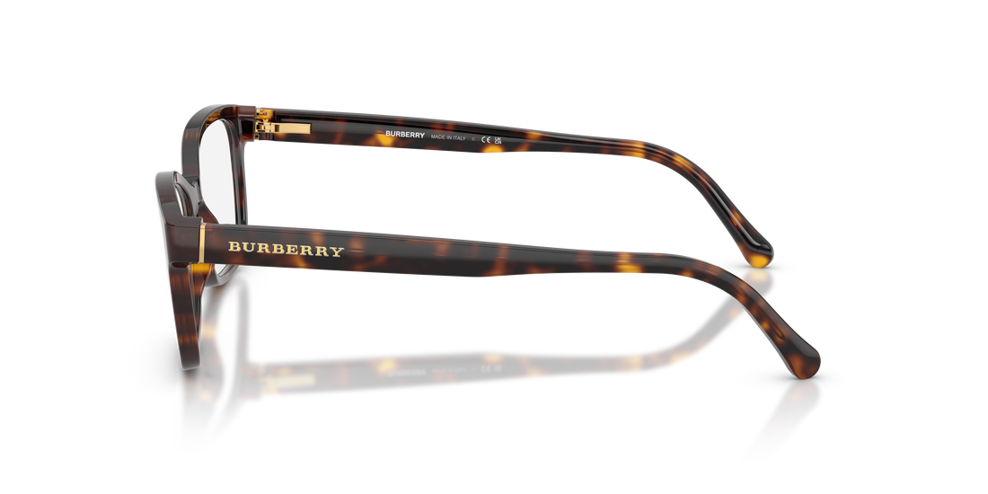 Burberry BE2201 3002 52