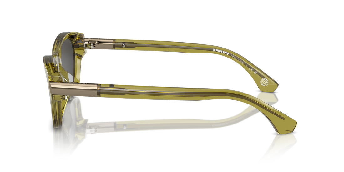 Burberry BE4430U 411887 55