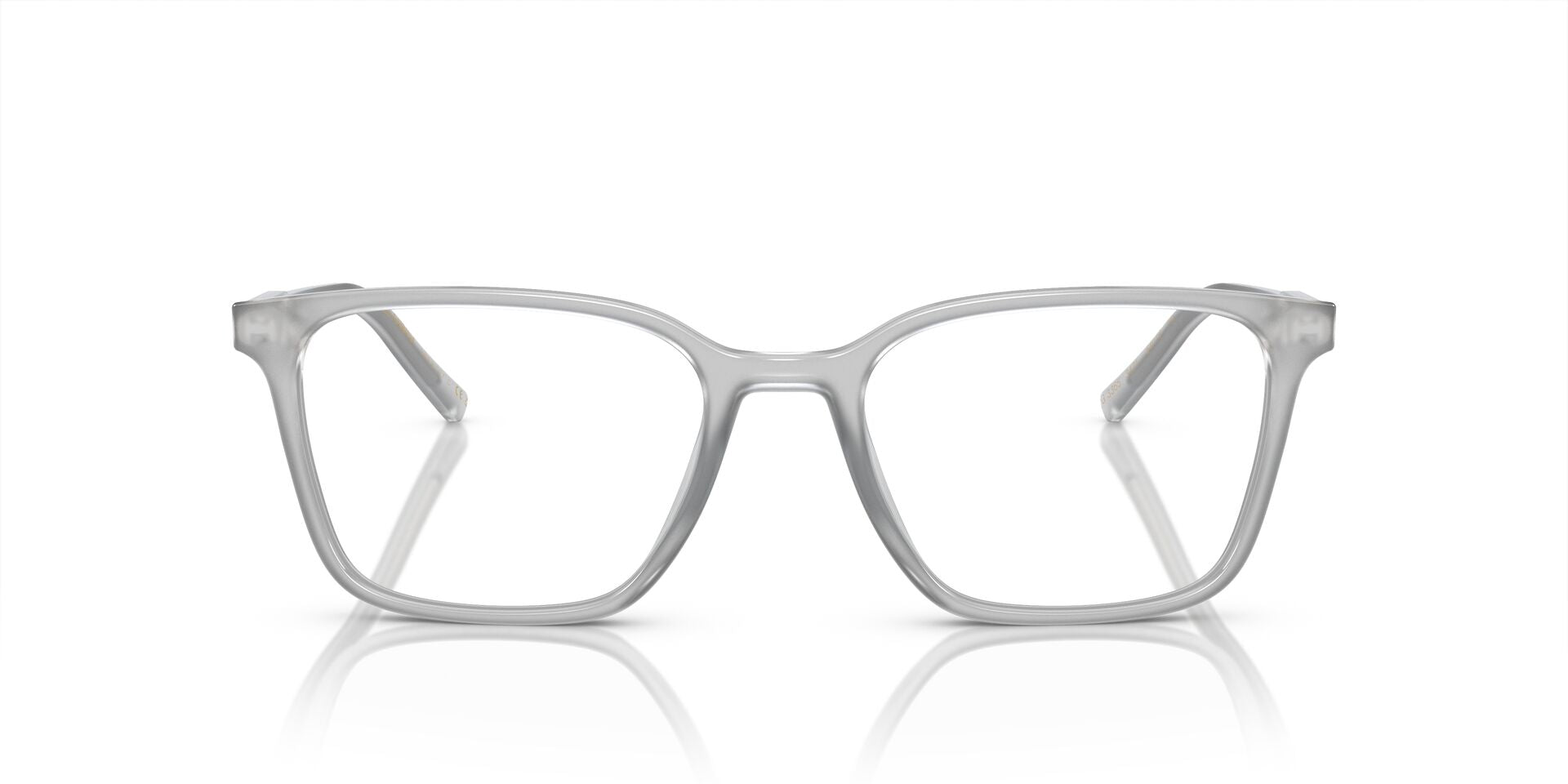 DOLCE & GABBANA DG3365 3421 54