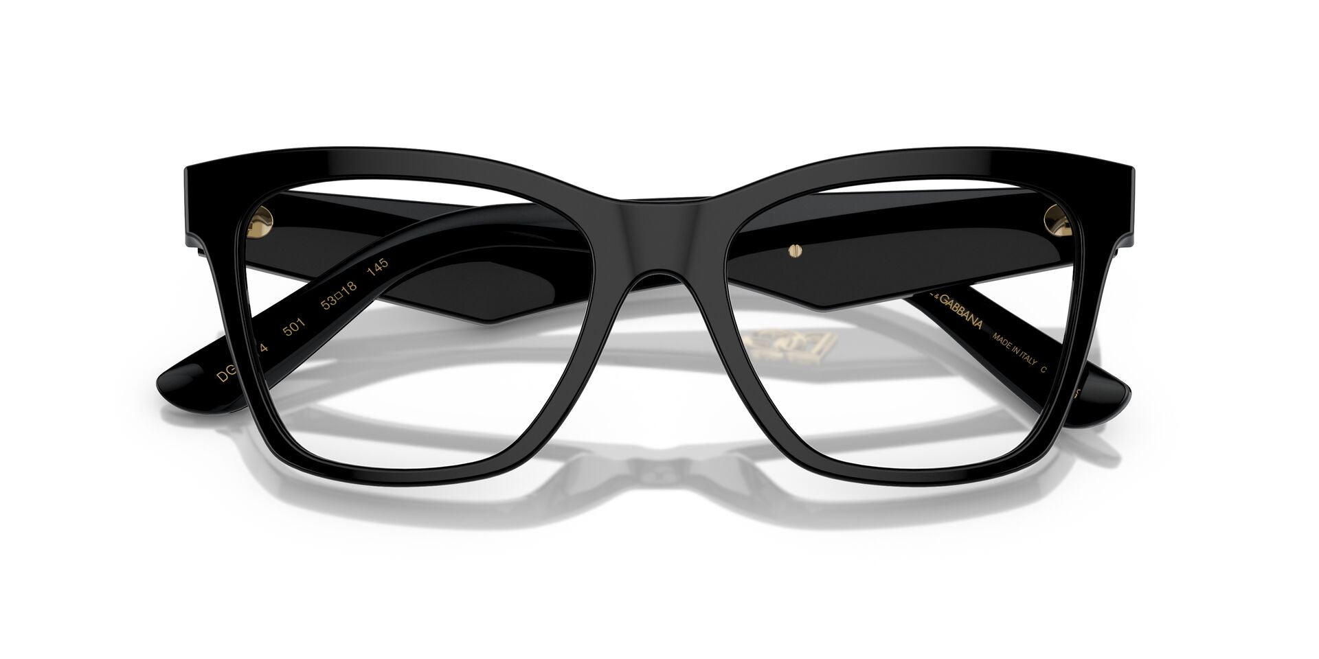 DOLCE & GABBANA DG3374 501 53