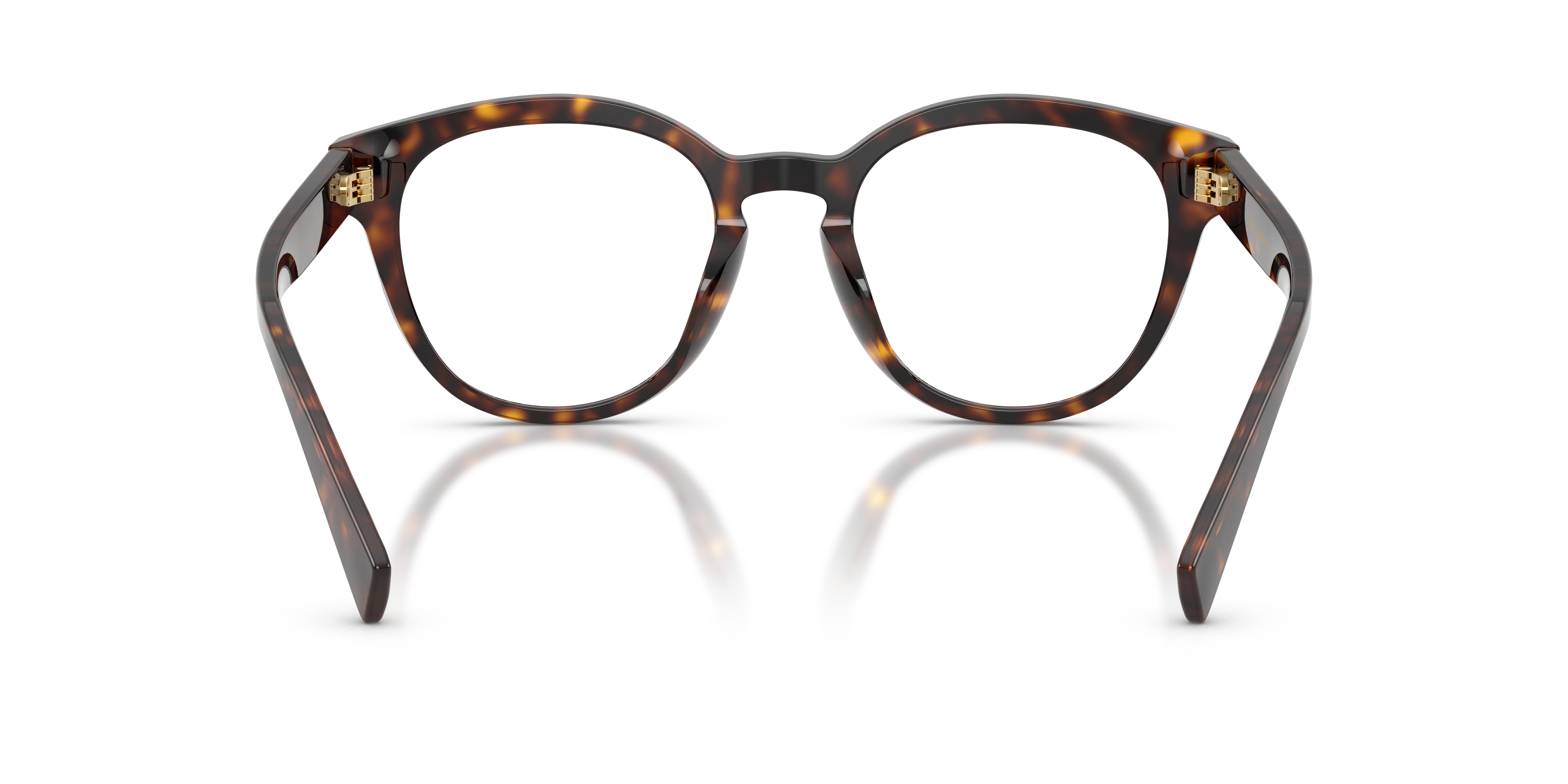 DOLCE & GABBANA DG3421 502 50