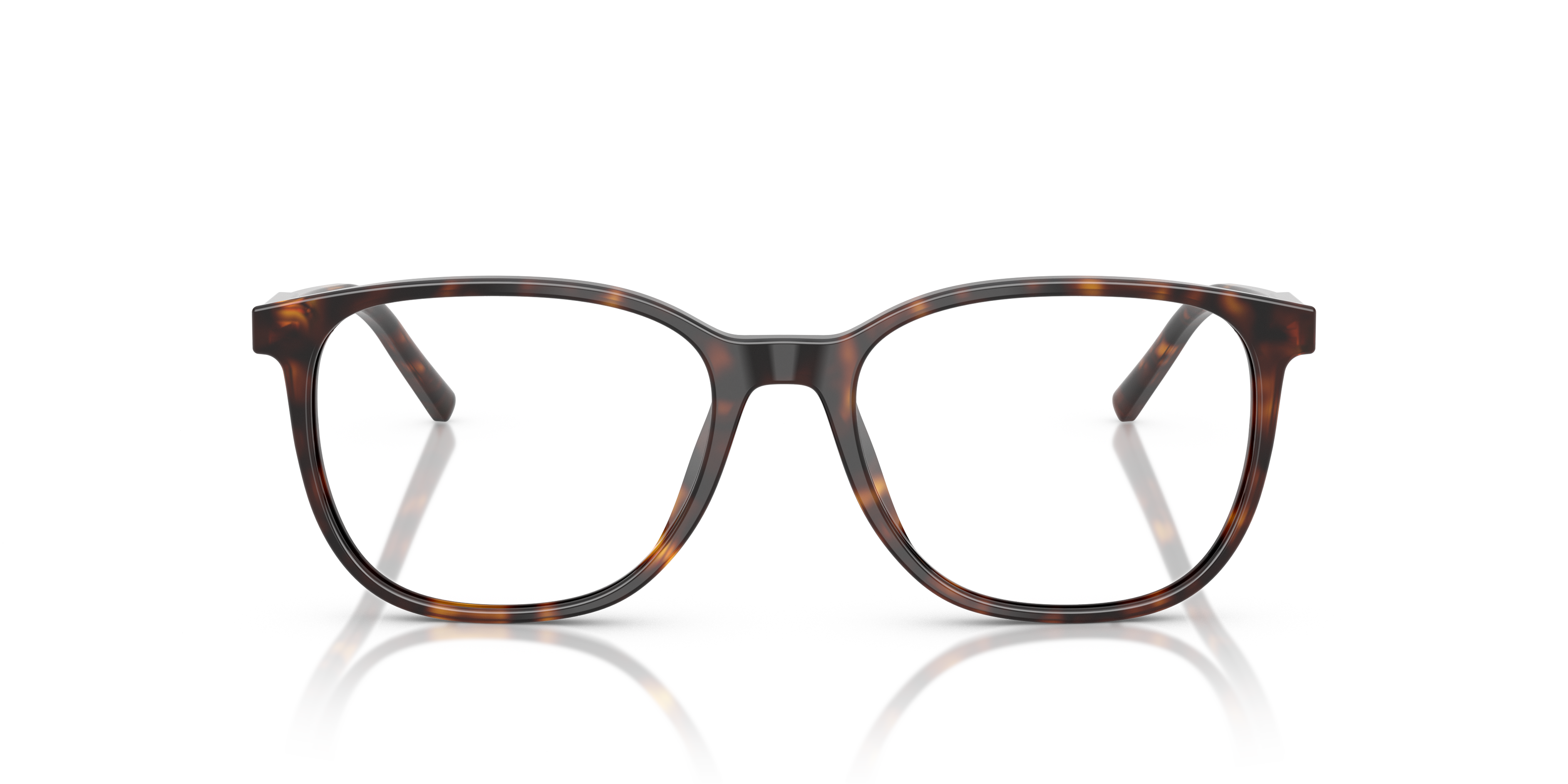 DOLCE & GABBANA DG3426 502 51