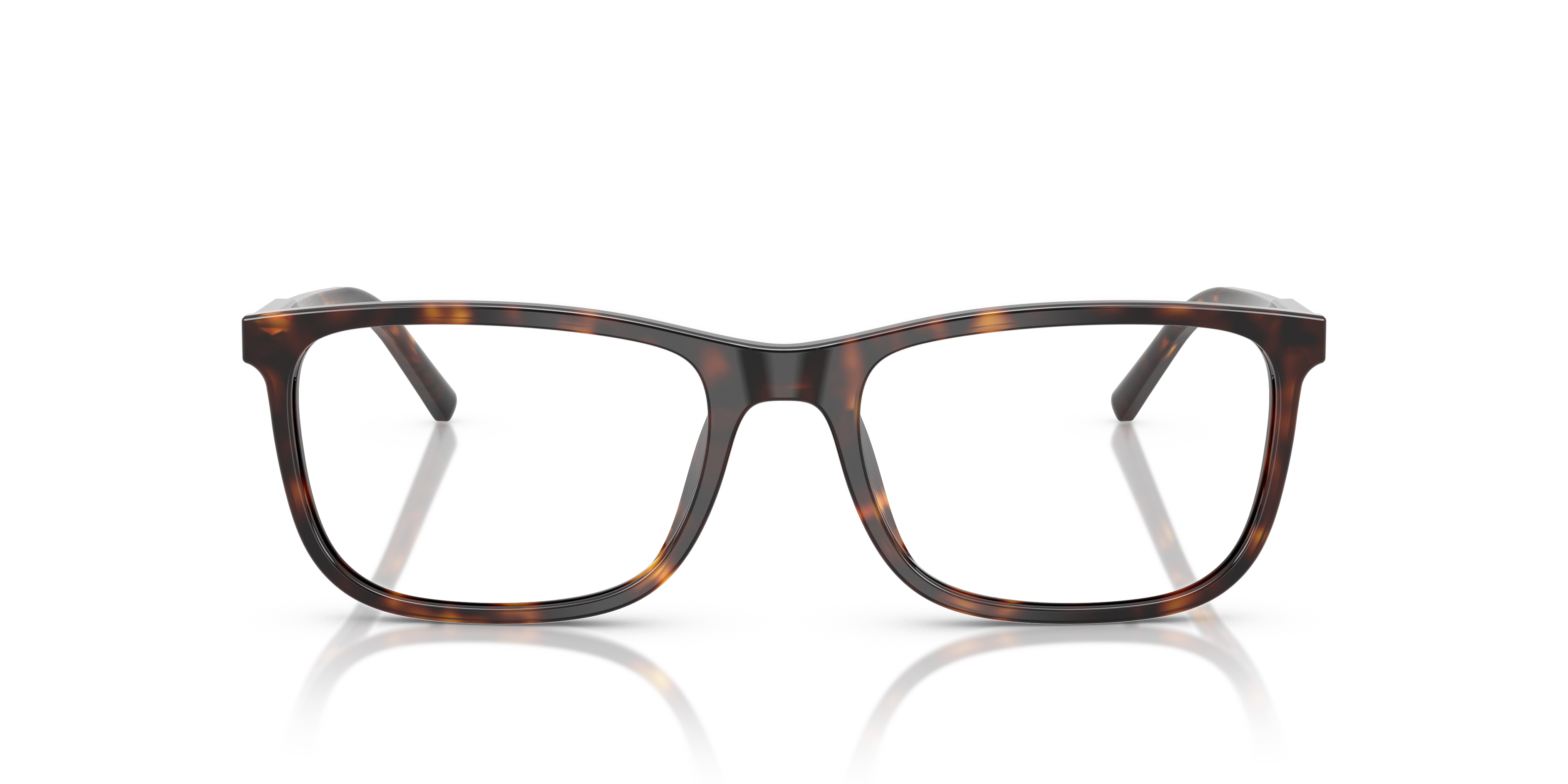 DOLCE & GABBANA DG3427 502 53