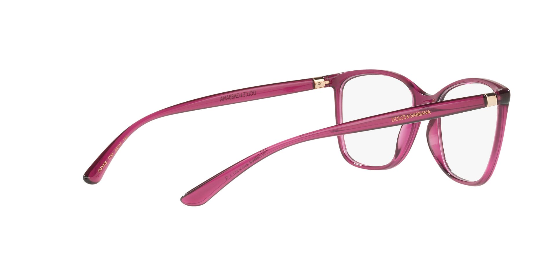 DOLCE & GABBANA DG5026 1754 54