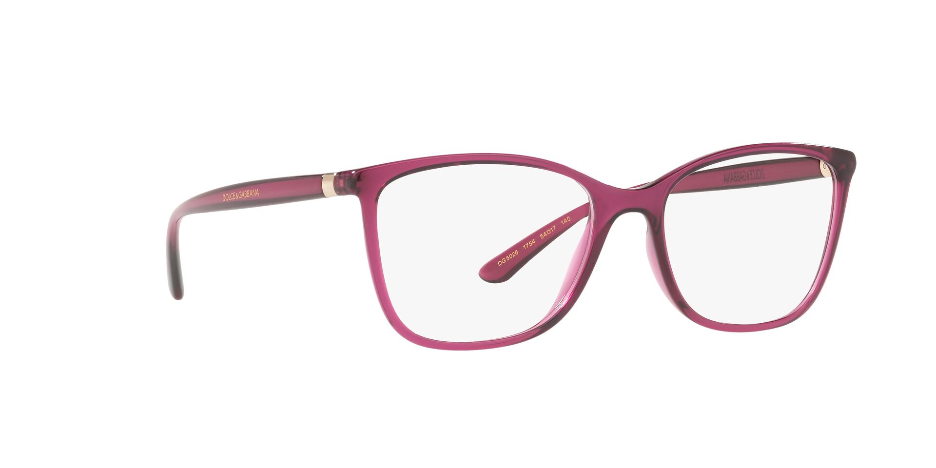 DOLCE & GABBANA DG5026 1754 54