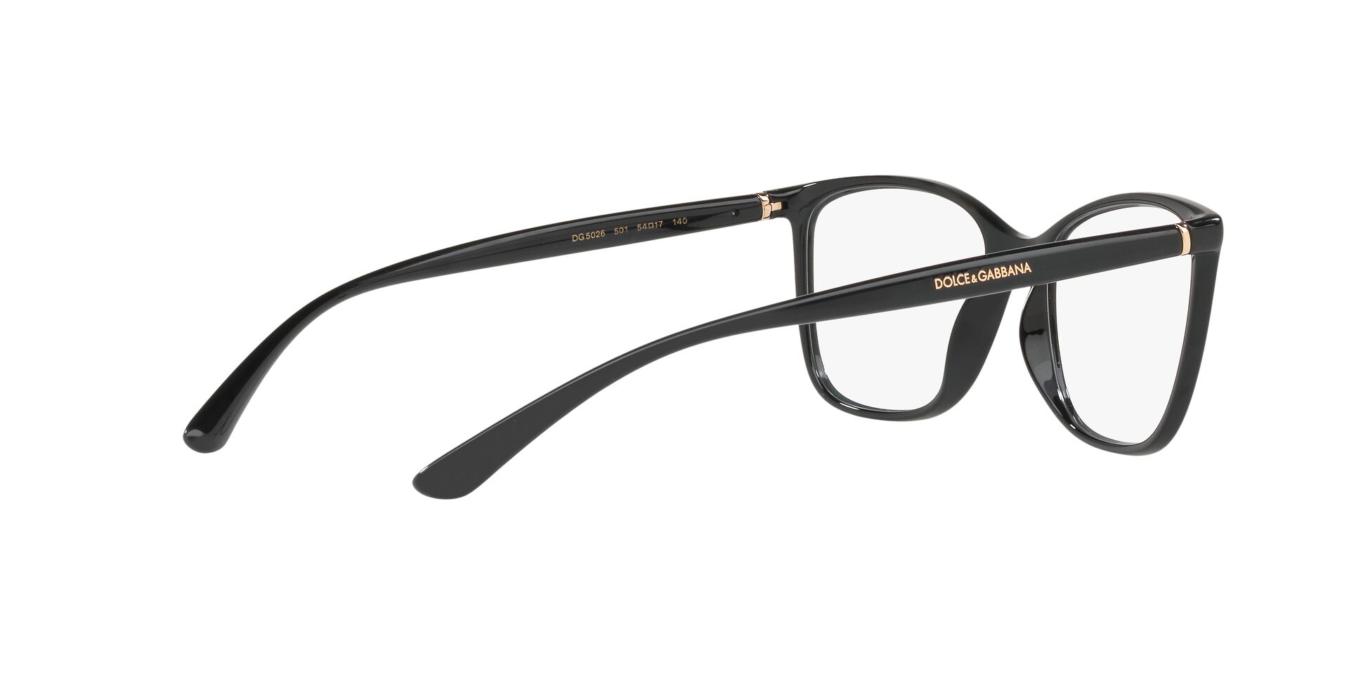 DOLCE & GABBANA DG5026 501 54