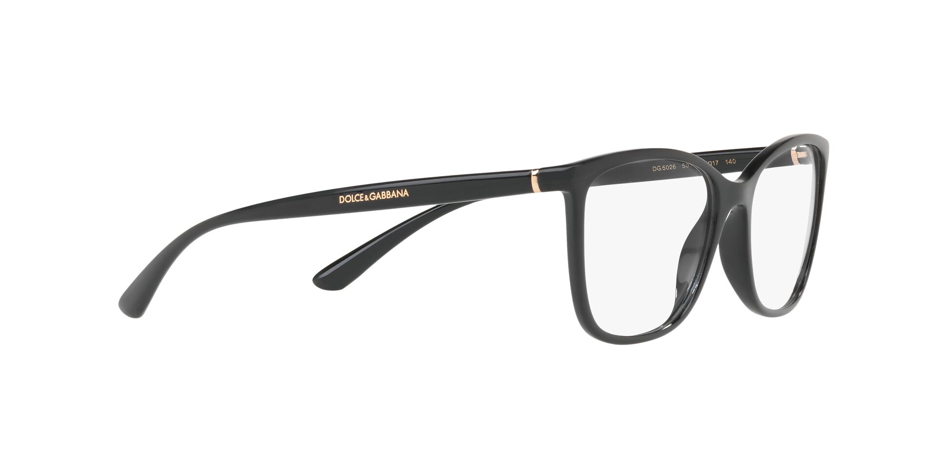 DOLCE & GABBANA DG5026 501 54