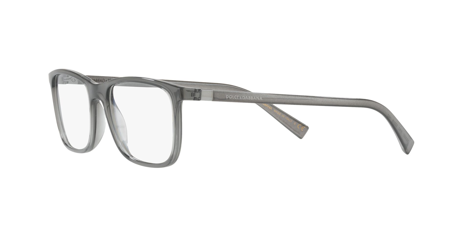 DOLCE & GABBANA DG5027 3160 55