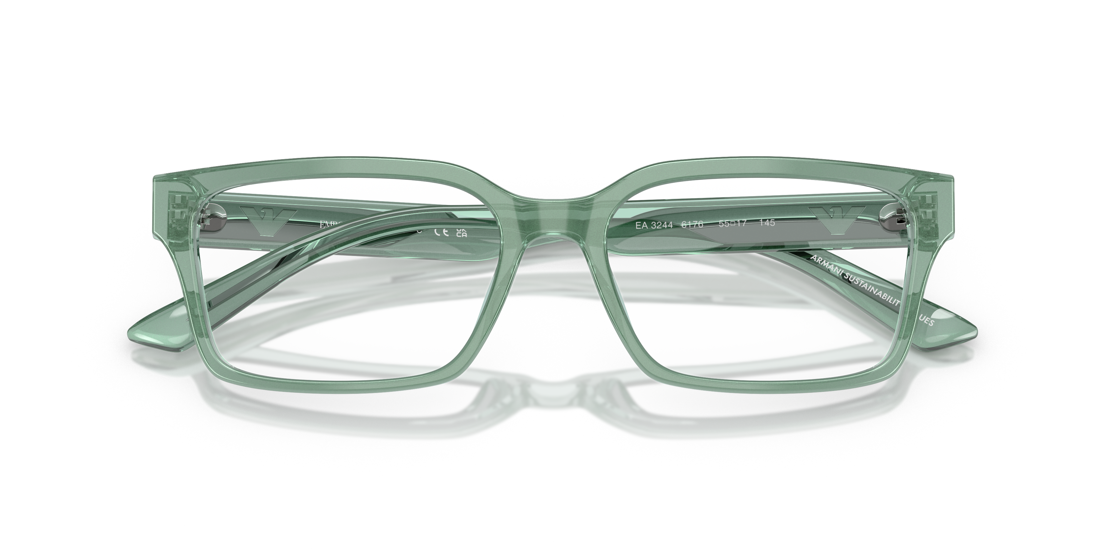 EMPORIO ARMANI EA3244 6176 55