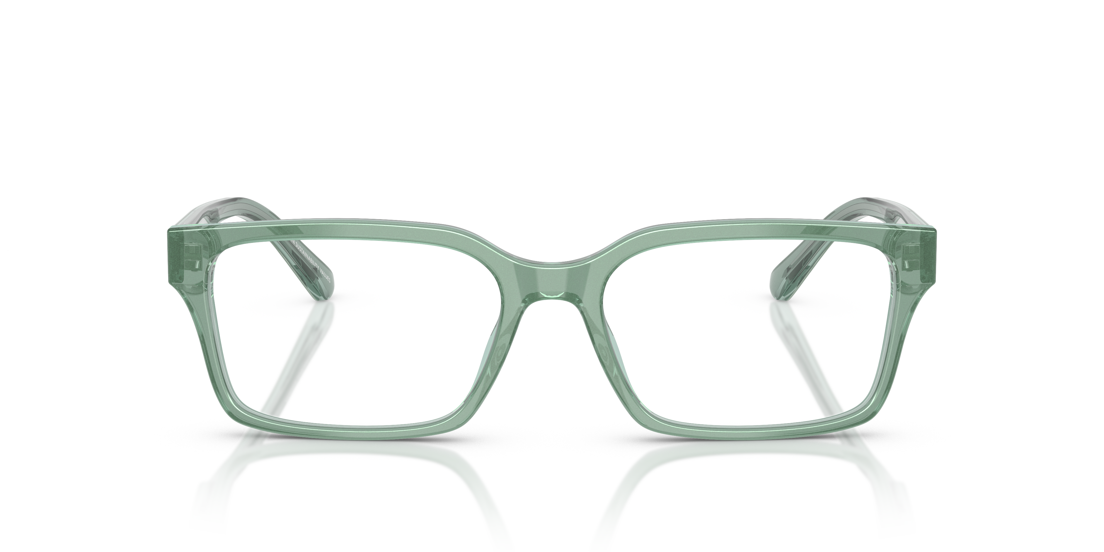 EMPORIO ARMANI EA3244 6176 55