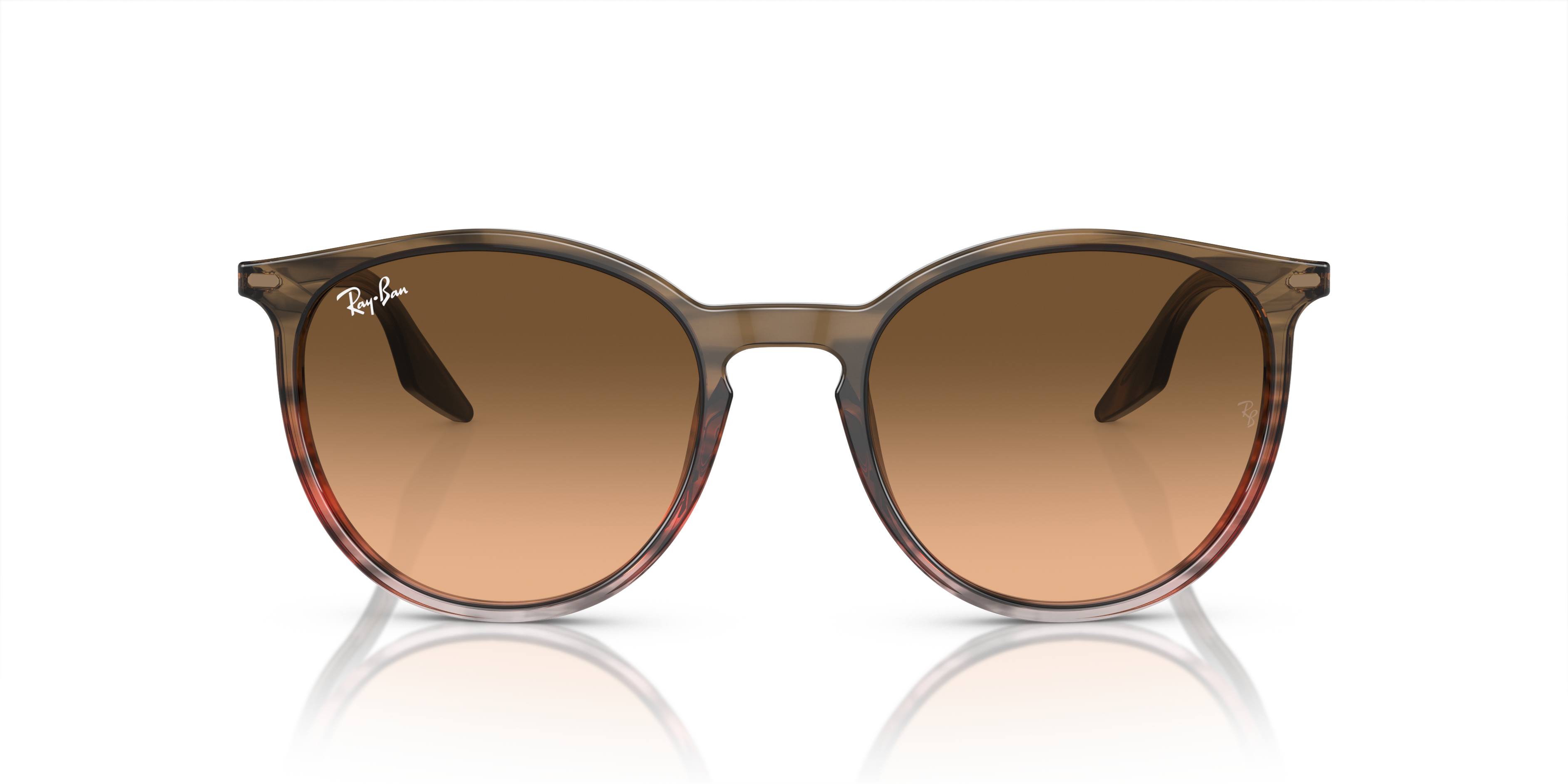 RAY-BAN RB2204 13953B 54