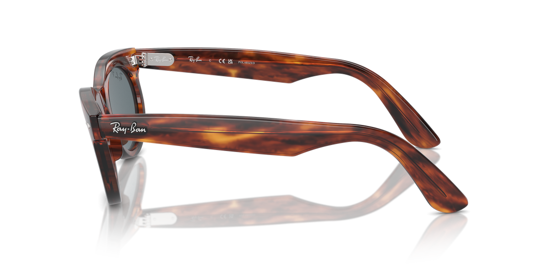 Translation missing: es.seo.product.type.gafas-de-sol ray-ban rb2242 wayfarer oval 954/3r marron oval unisex talla 53mm - Translation missing: es.seo.product.alt.imagen-secundaria