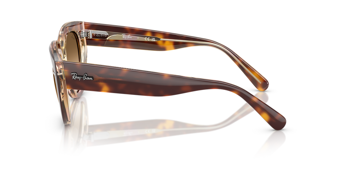 Translation missing: es.seo.product.type.gafas-de-sol ray-ban rb2286 doreen 141451 havana square femenina talla 49mm - Translation missing: es.seo.product.alt.imagen-secundaria