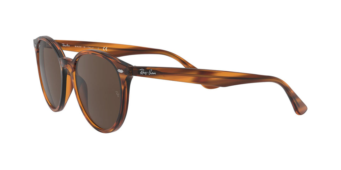 Translation missing: es.seo.product.type.gafas-de-sol ray-ban rb4305 820/73 unisex talla 53mm - Translation missing: es.seo.product.alt.imagen-secundaria