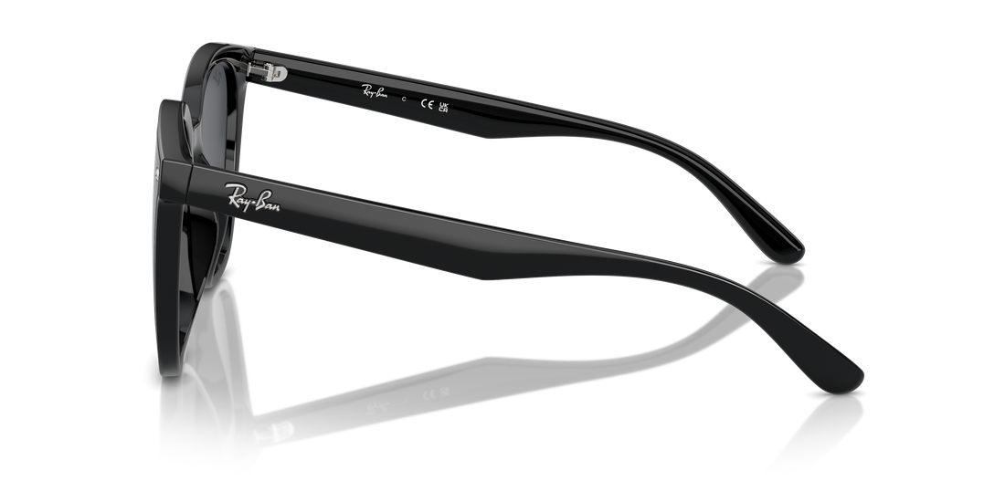 Translation missing: es.seo.product.type.gafas-de-sol ray-ban rb4423d 601/87 negro square unisex talla 66mm - Translation missing: es.seo.product.alt.imagen-secundaria