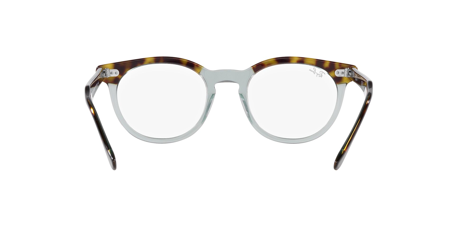 RAY-BAN RX5598 EAGLEEYE 8249 49