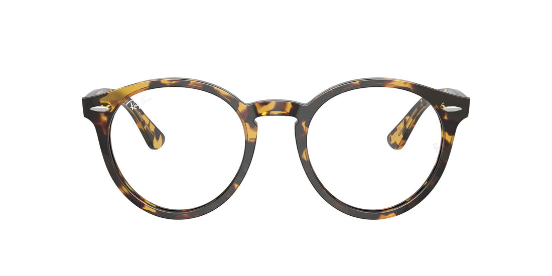 RAY-BAN RX7680V LARRY 8116 49