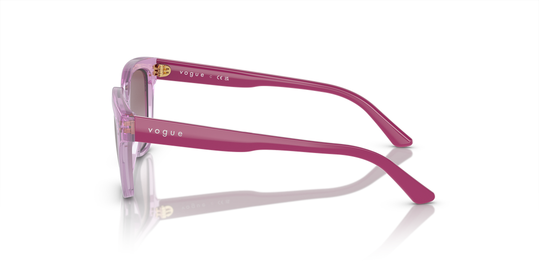 VOGUE EYEWEAR VJ2021 27808H 48