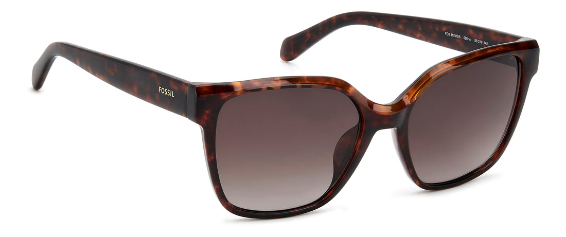 Translation missing: es.seo.product.type.gafas-de-sol fossil fos 3170/g/s 086 ha havana cat eye femenino talla 55mm - Translation missing: es.seo.product.alt.imagen-secundaria