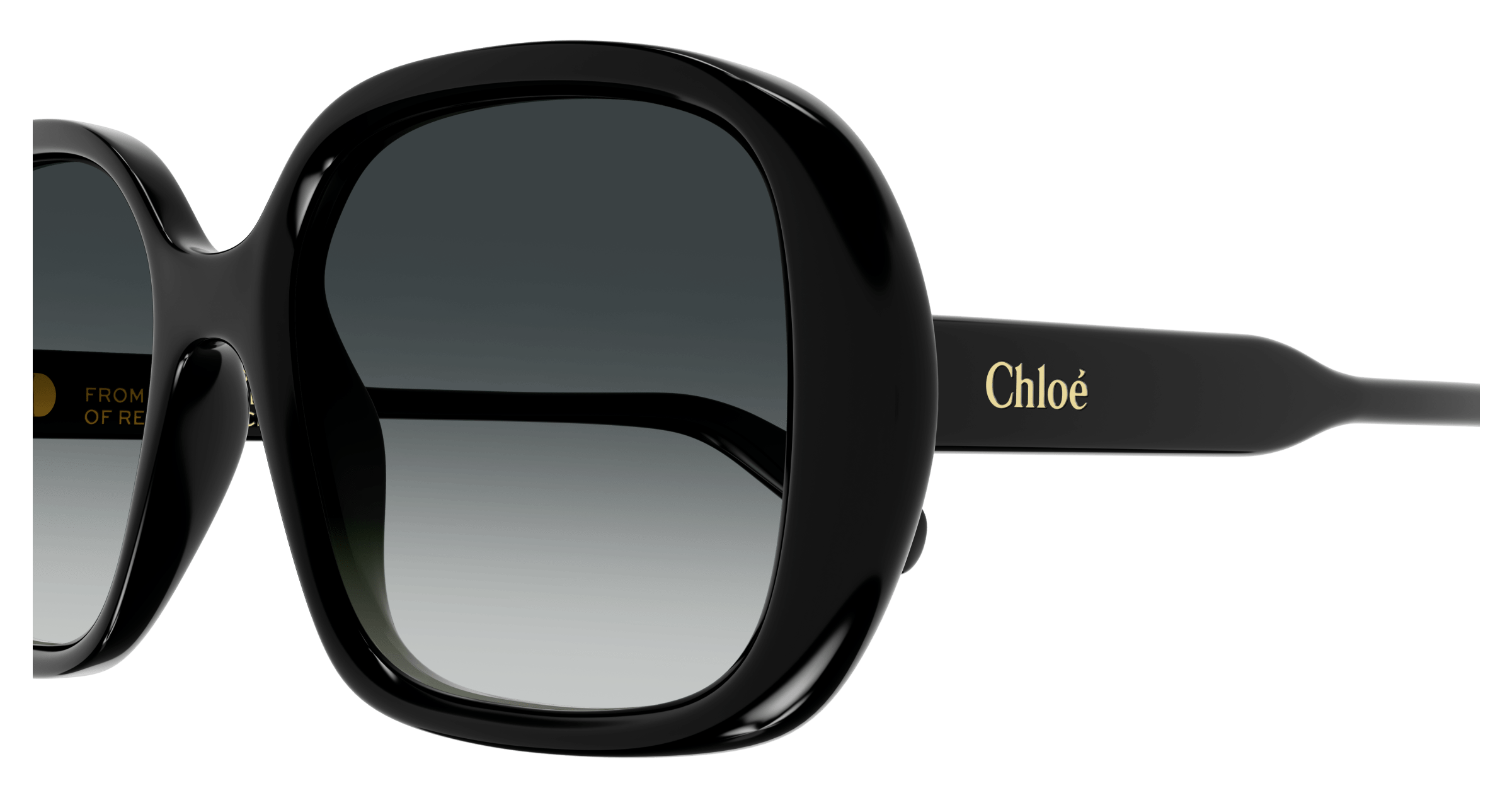 CHLOÉ CH0222S 001 55