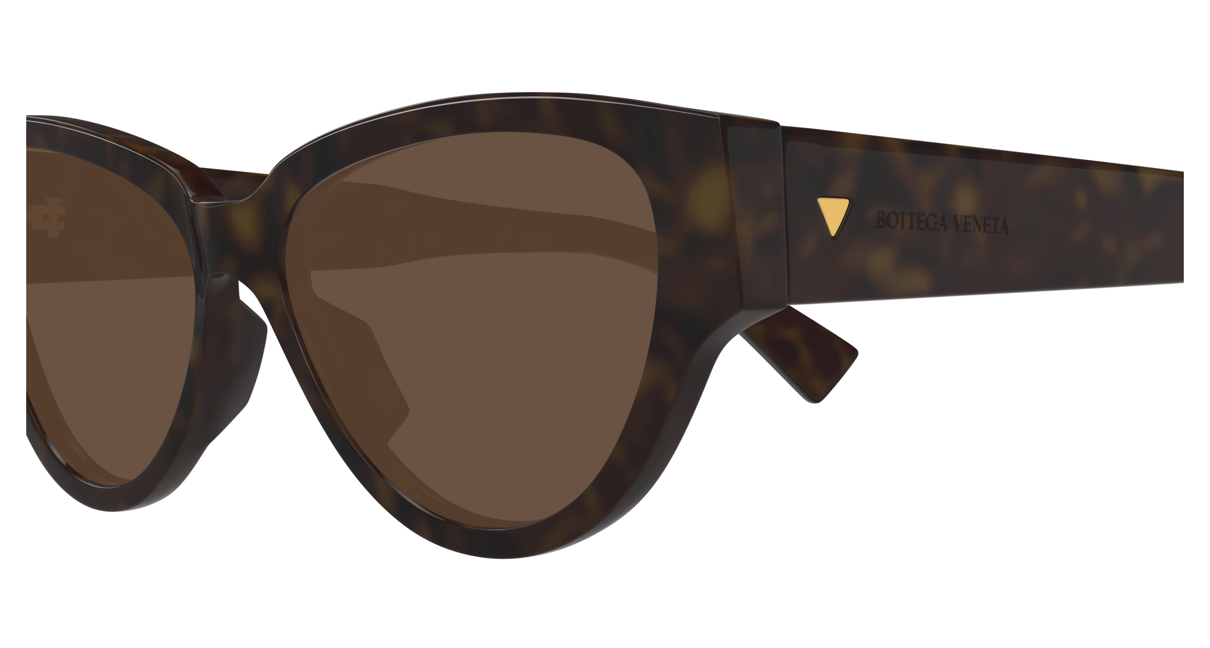 Bottega Veneta BV1319S 002 56