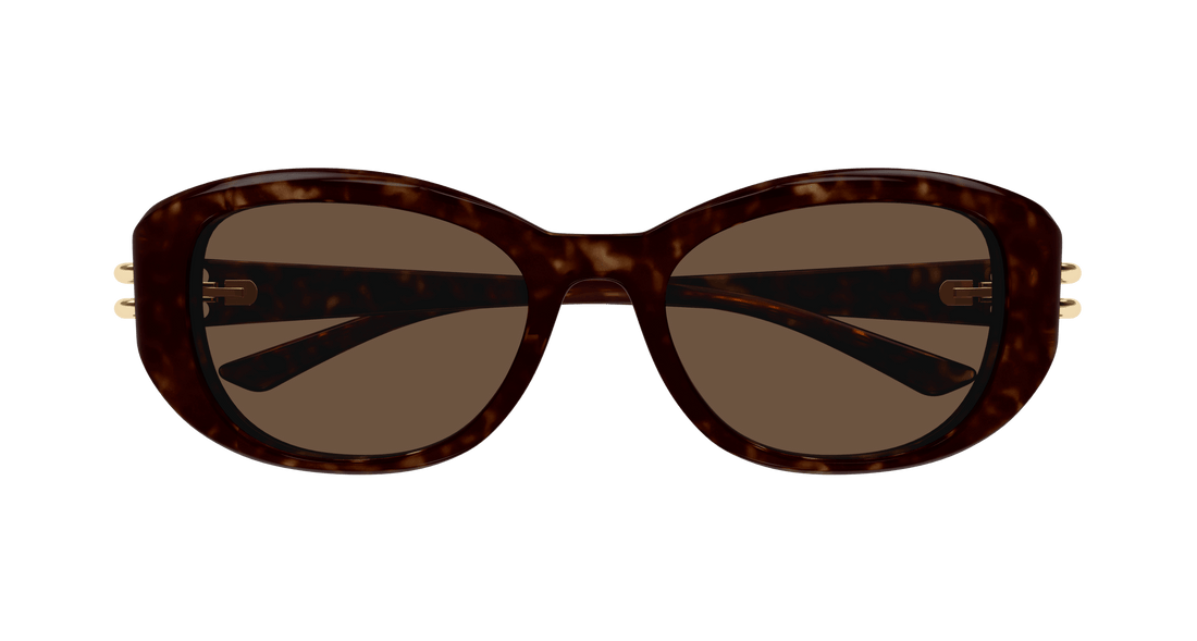 Translation missing: es.seo.product.type.gafas-de-sol alexander mcqueen am0470sa 002 havana round/oval/panthos femenino talla 54mm - Translation missing: es.seo.product.alt.imagen-secundaria
