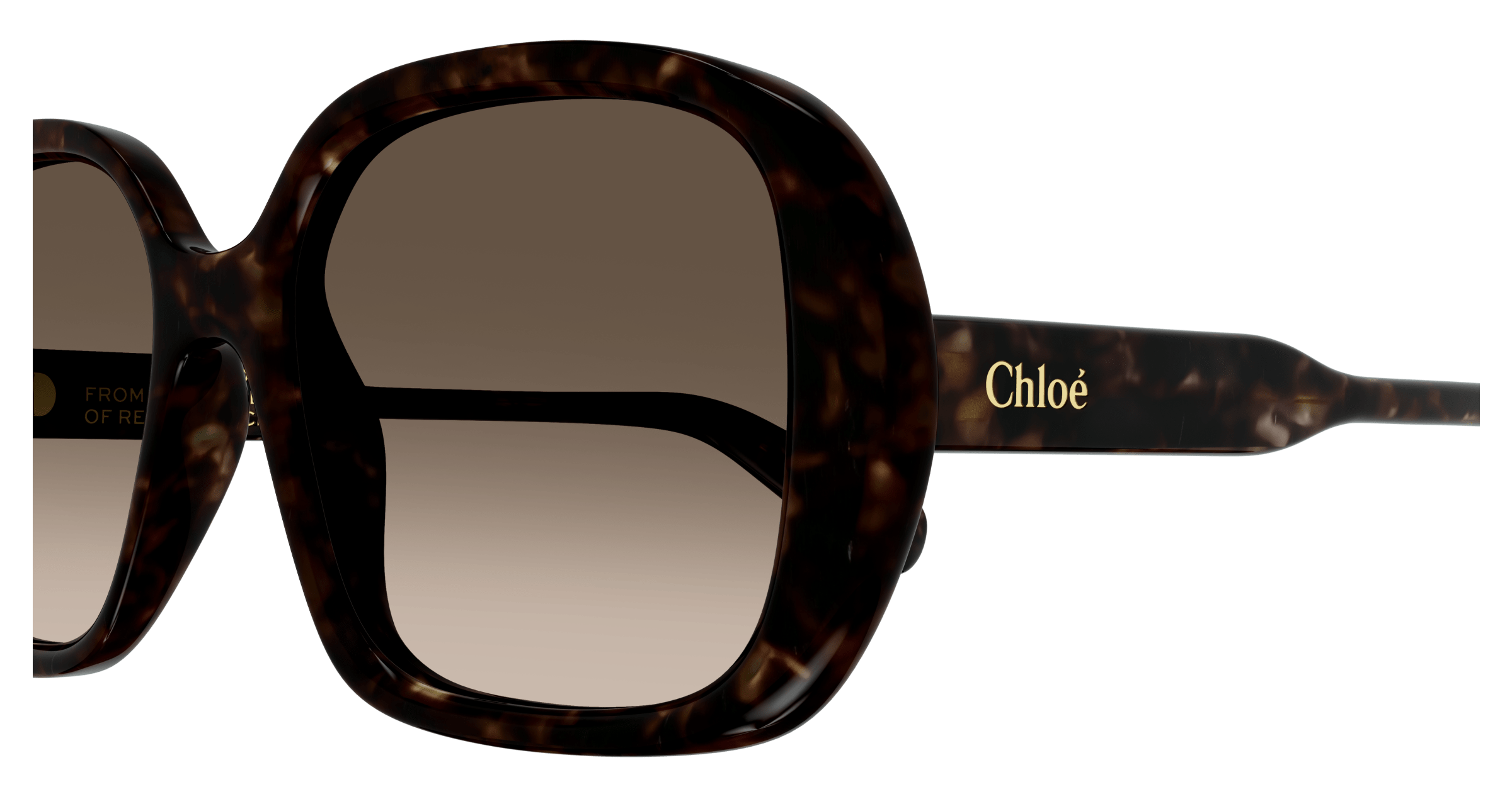 CHLOÉ CH0222S 002 55