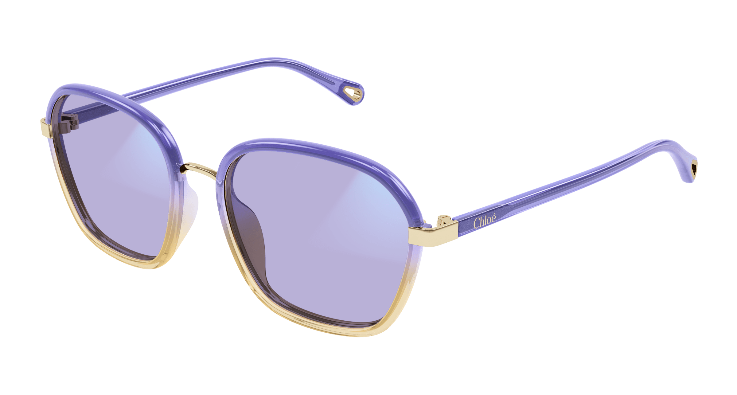 CHLOÉ CH0309S 001 54