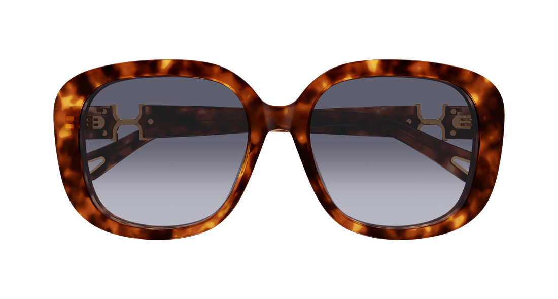 Translation missing: es.seo.product.type.gafas-de-sol chloé ch0303sk 002 havana square femenino talla 56mm - Translation missing: es.seo.product.alt.imagen-secundaria