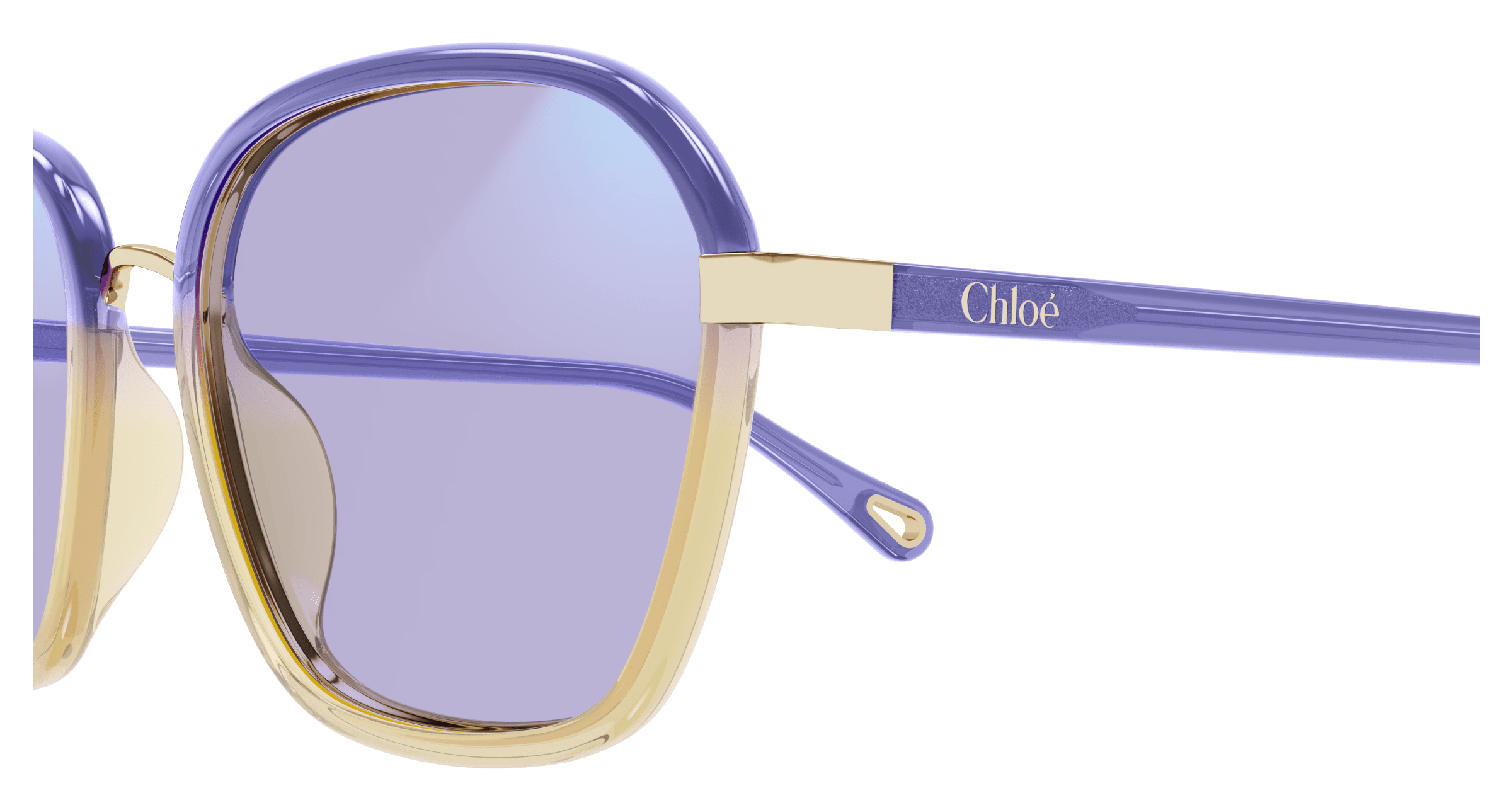 CHLOÉ CH0309S 001 54