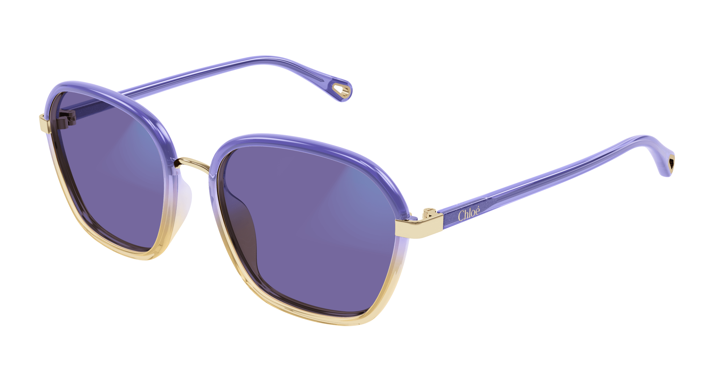 CHLOÉ CH0309S 001 54