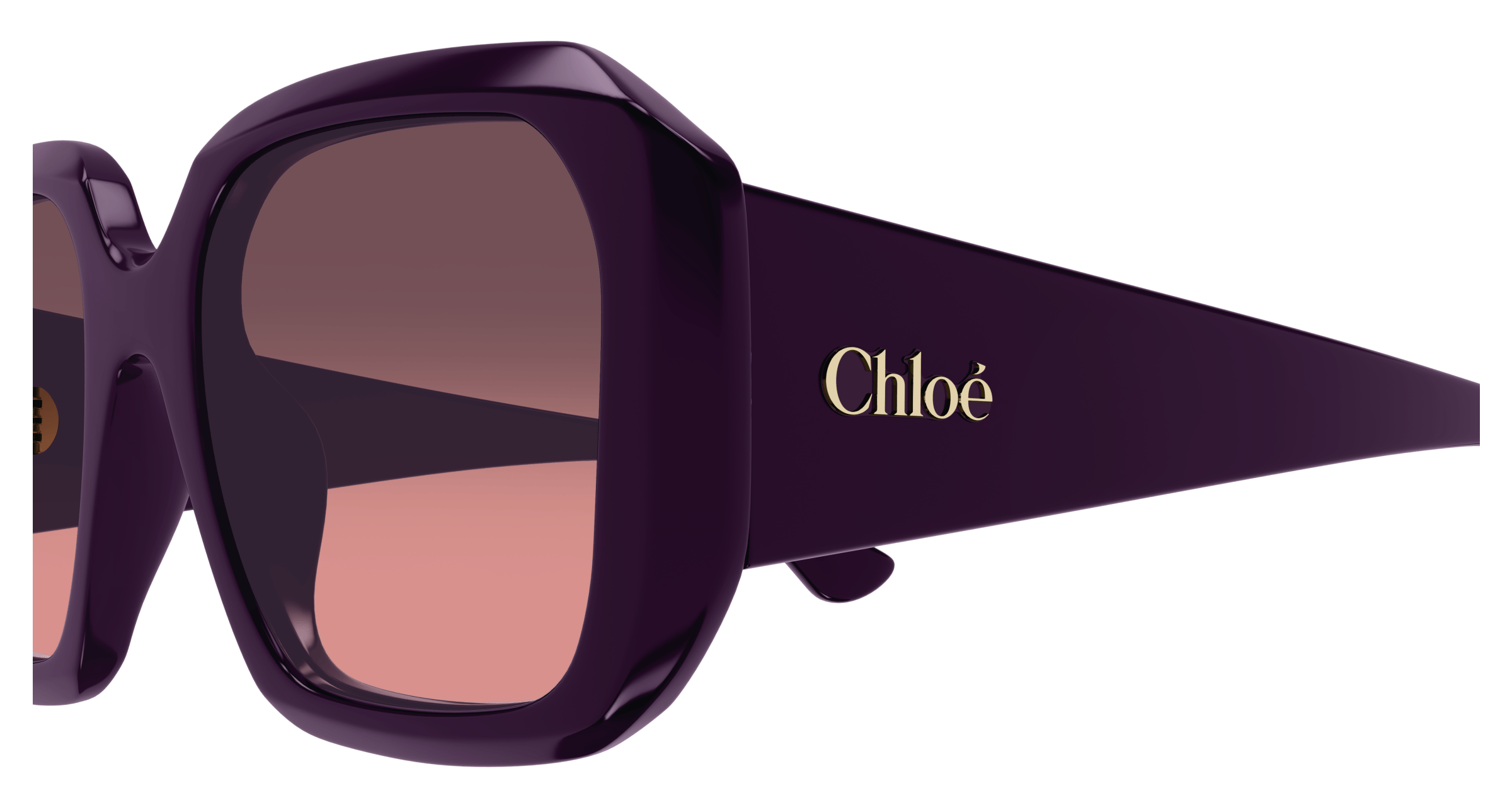 CHLOÉ CH0300S 004 54