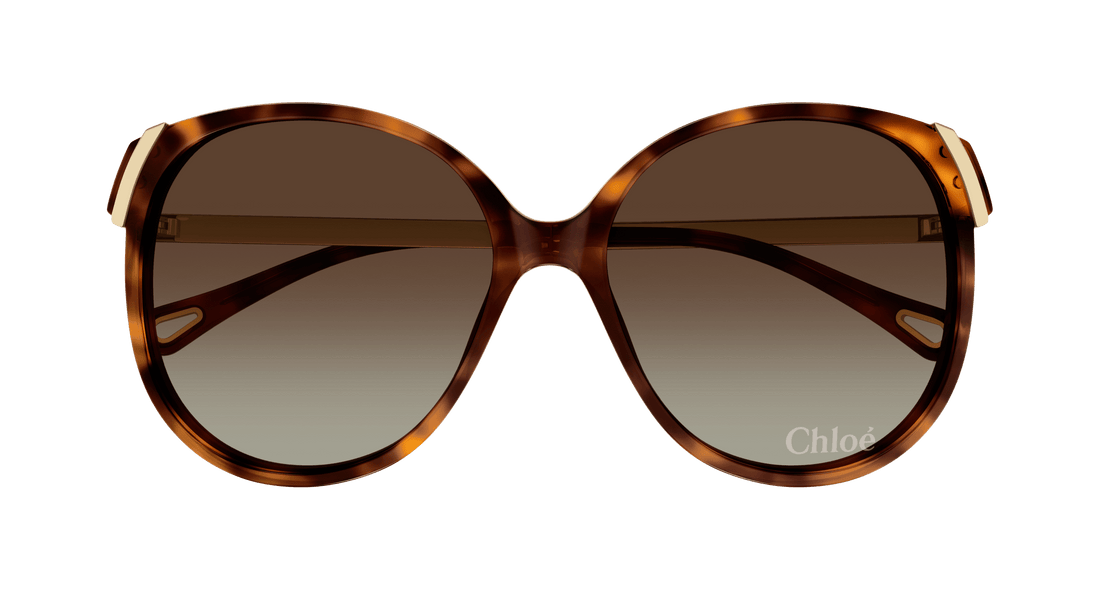 Translation missing: es.seo.product.type.gafas-de-sol chloé ch0285s 002 havana square femenino talla 58mm - Translation missing: es.seo.product.alt.imagen-secundaria