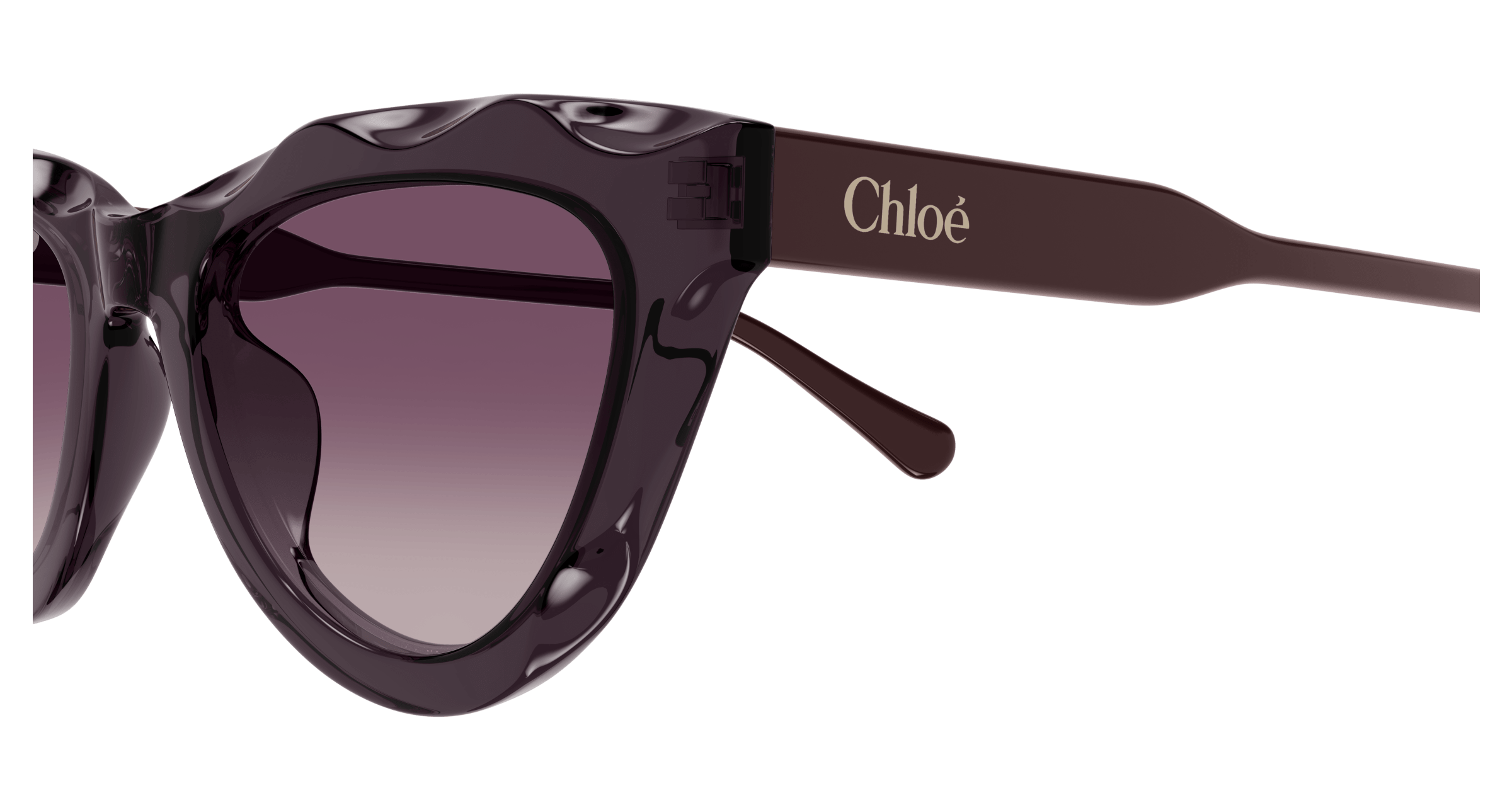 CHLOÉ CH0294S 002 52