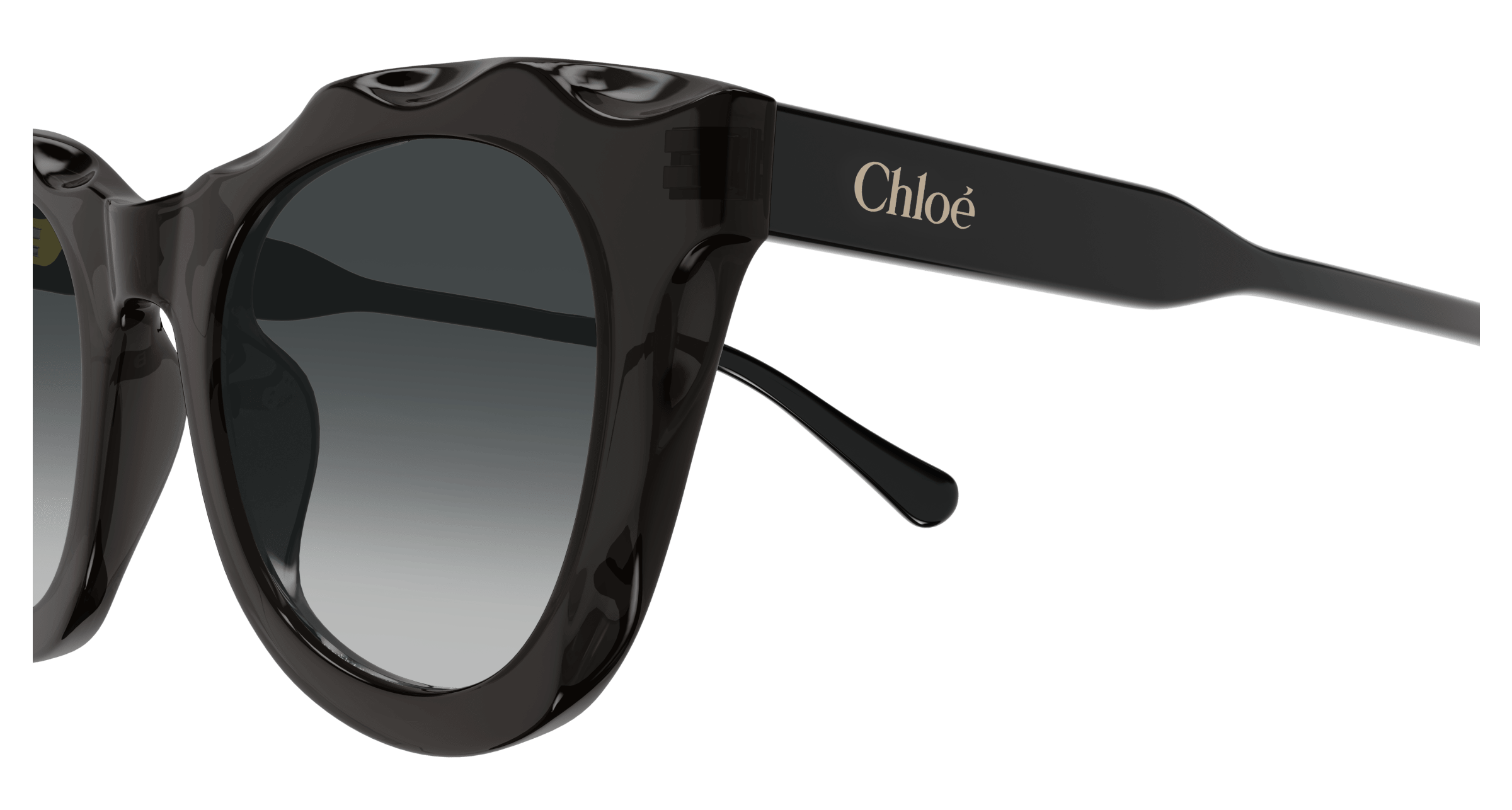 CHLOÉ CH0295S 001 50