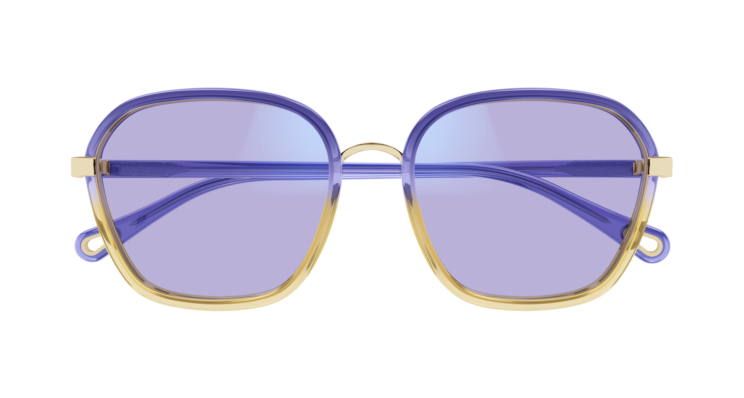 CHLOÉ CH0309S 001 54