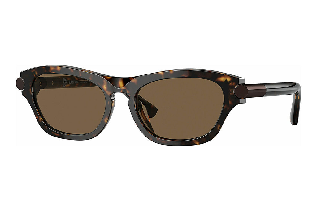 Burberry BE4430U 300273 55