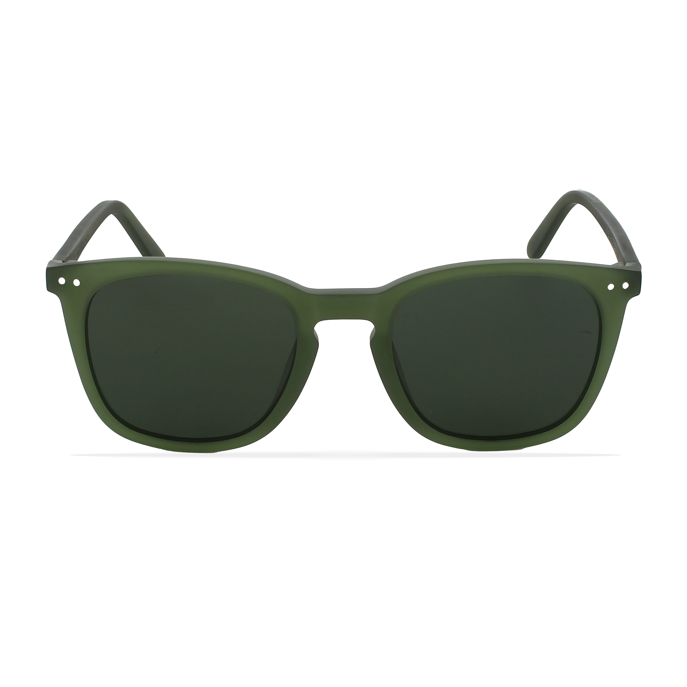 GREYHOUNDERS CENIT GREEN 50