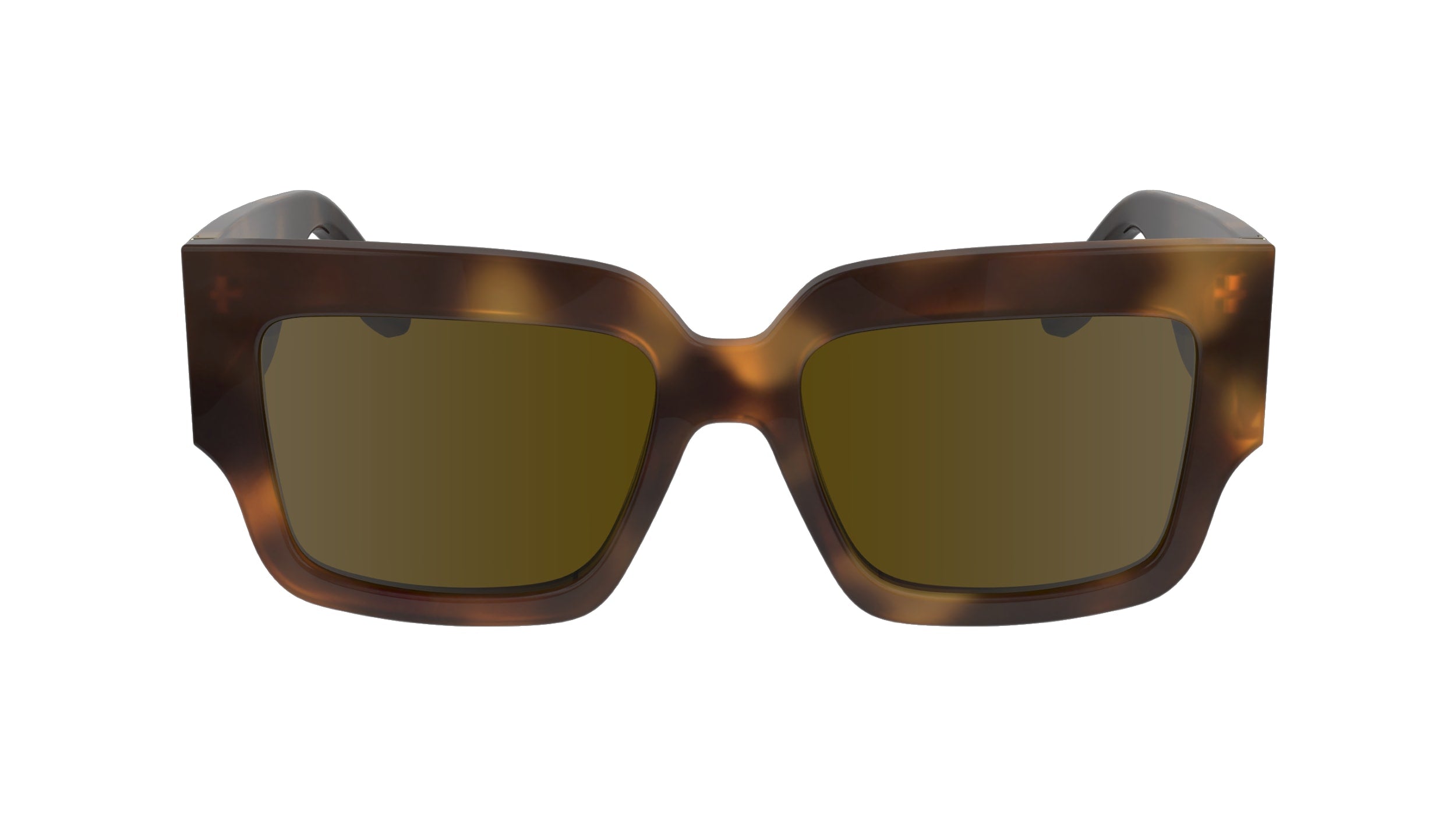 VICTORIA BECKHAM VB667S 215 53