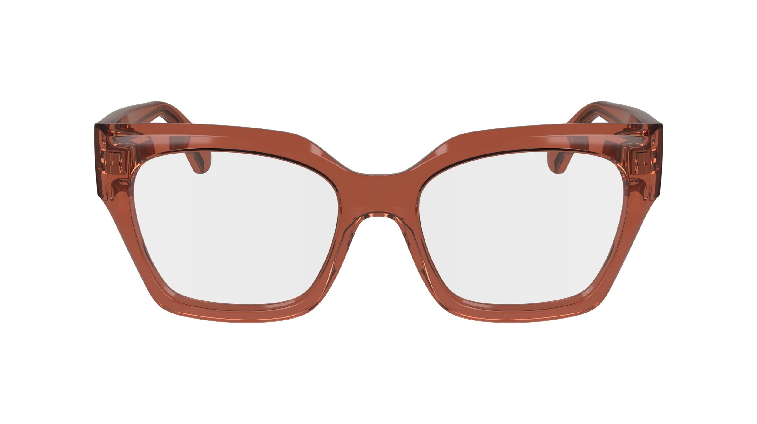 FERRAGAMO SF2983 224 53