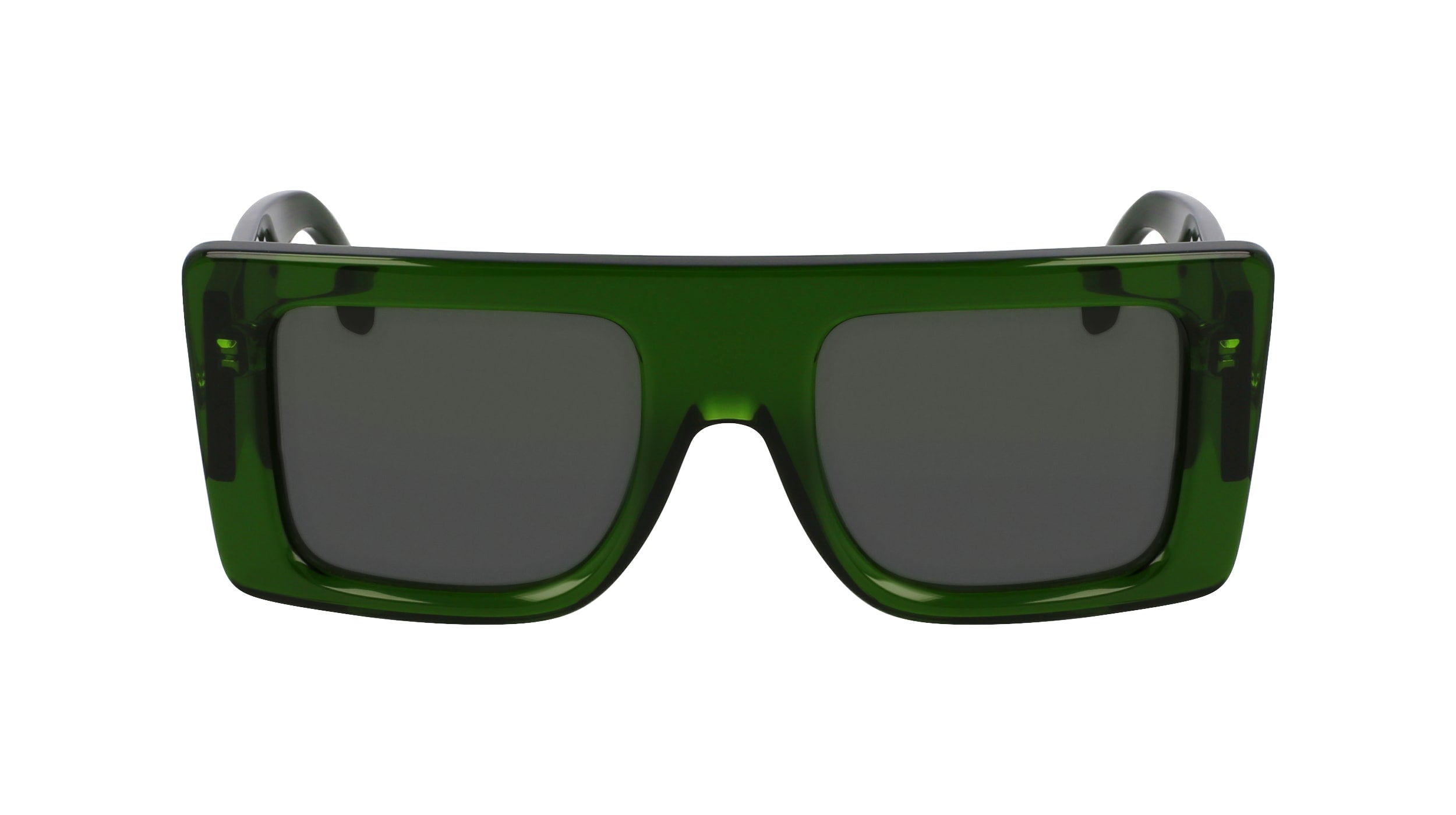 VICTORIA BECKHAM VB677S 302 51