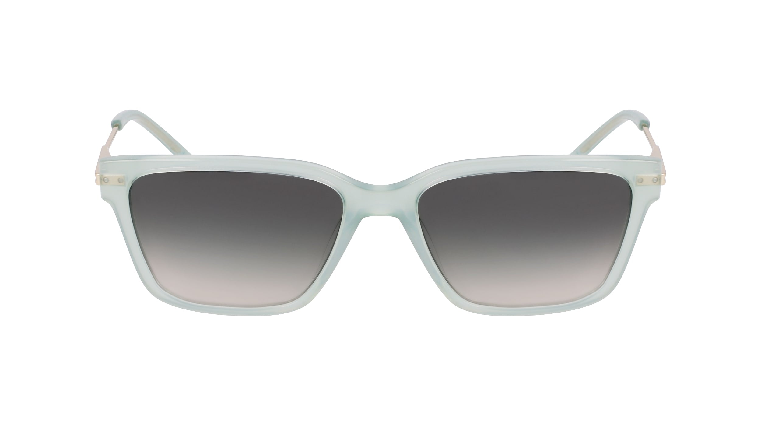 DKNY DK713S 310 56