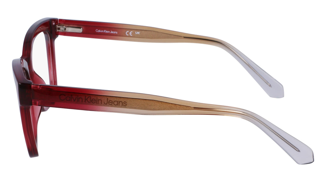 CALVIN KLEIN JEANS CKJ23650 601 53