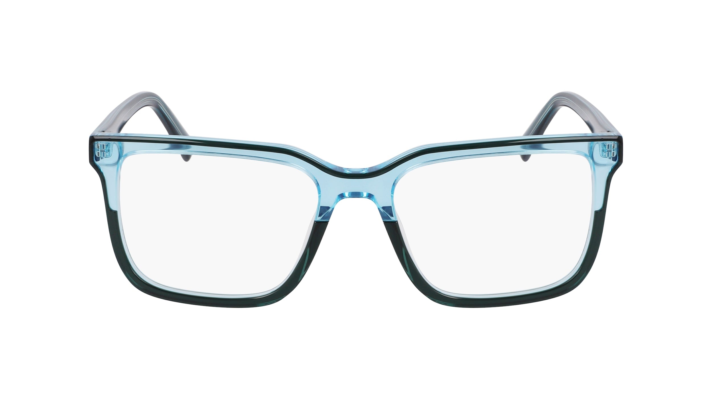 DKNY DK5071 310 52