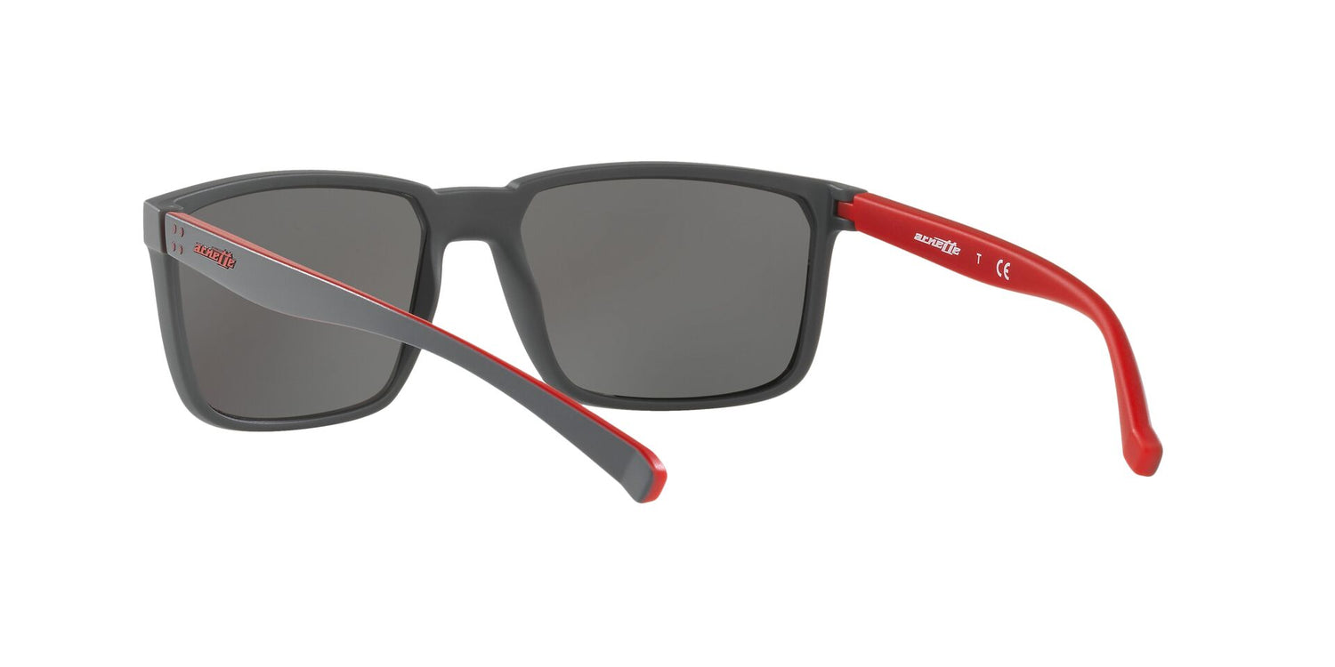 ARNETTE AN4251 STRIPE 25736G 58