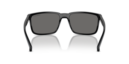ARNETTE AN4251 STRIPE 2900Z3 58