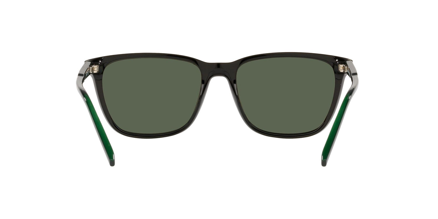 ARNETTE AN4291 CORTEX 27539A 57