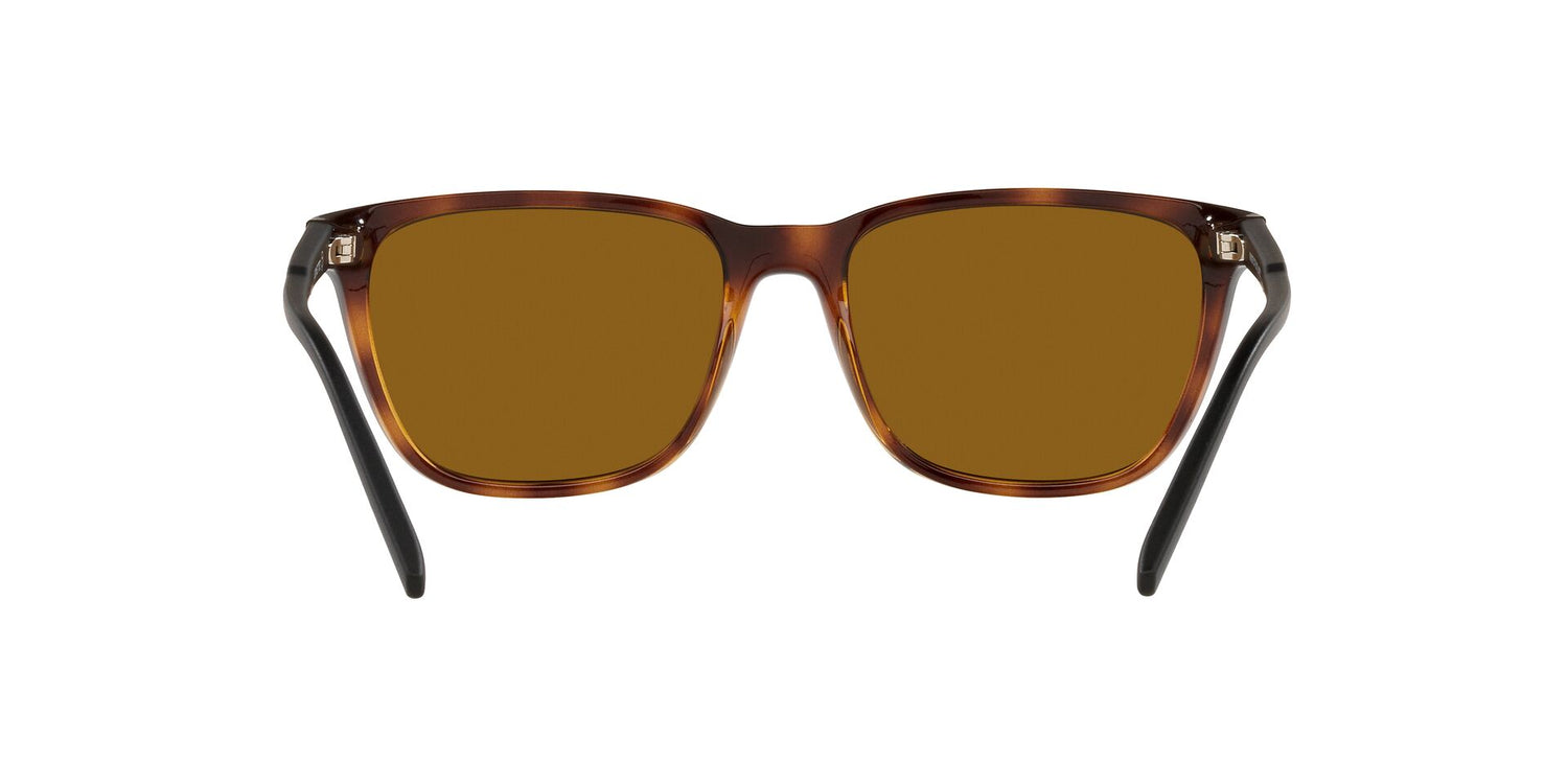 ARNETTE AN4291 CORTEX 277083 57