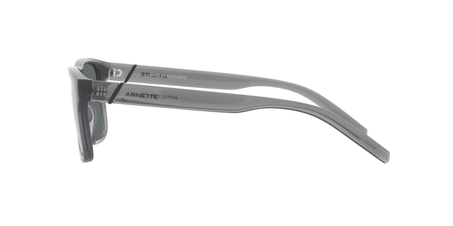 ARNETTE AN4298 BANDRA 278681 55