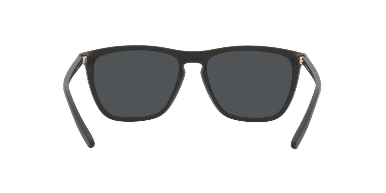 ARNETTE AN4301 FRY 275887 55